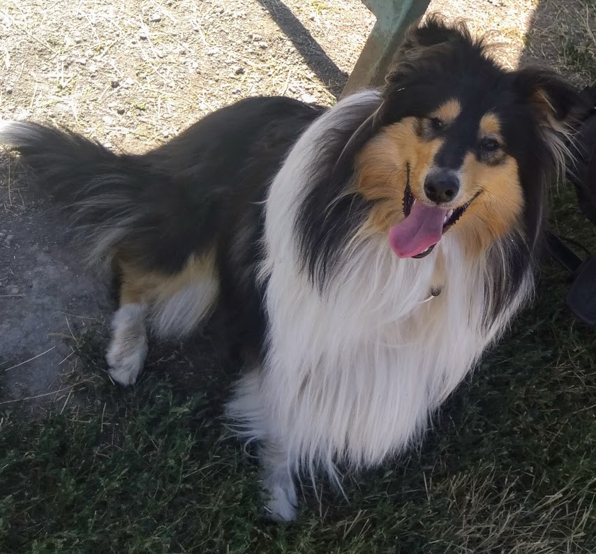 Read My Lips from River Agara